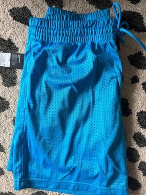 Target Men’s Athletic Mesh Shorts in Turquoise Blue